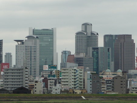 090831-淀川河川敷 (16)