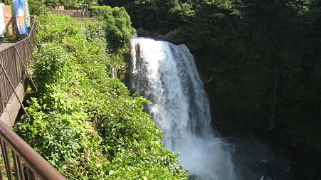 otodome