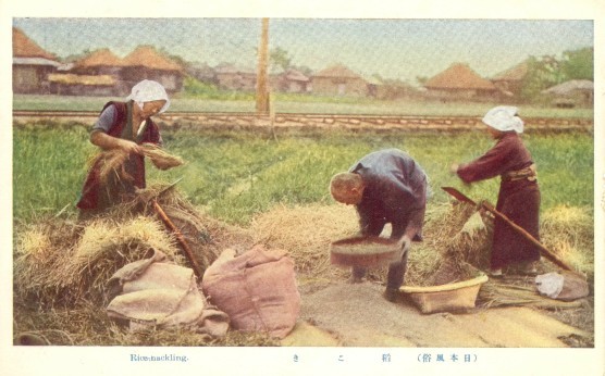 日本風俗　稲こき