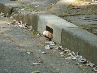入る3