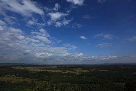 サテライト展望台