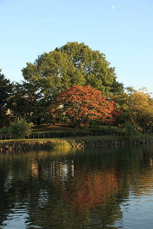 中島公園