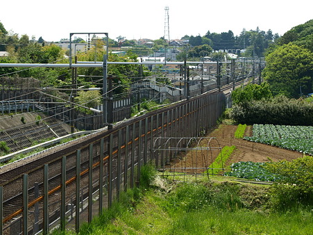 P5047824