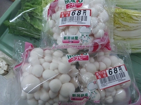 SH3I0108
