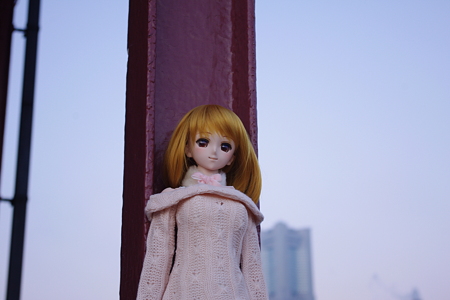 画像 082