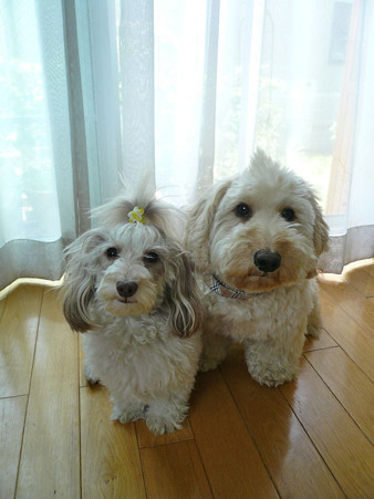 120626_koo_3