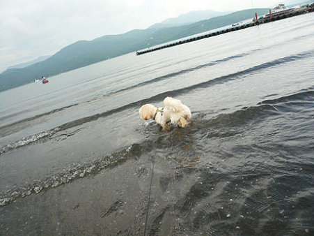 くーかい 山中湖を楽しむ1