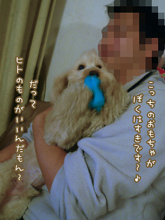 くーかい 3歳の誕生日♪ 8
