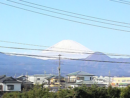 P1001125