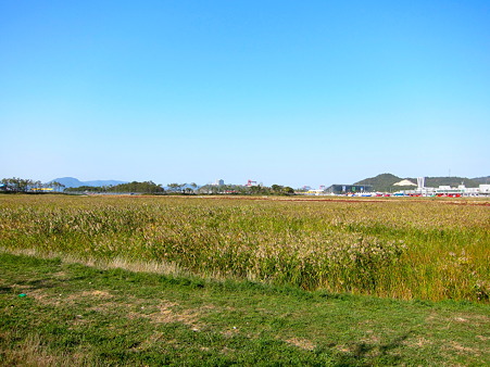 IMG_8140
