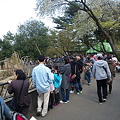 Photos: 今日の八木山動物園は超満員です★