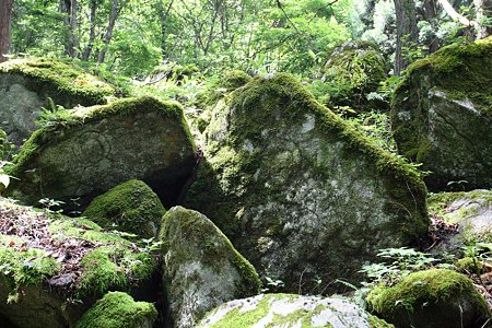 2009.08.12　遠野　自然石へ五百羅漢-1