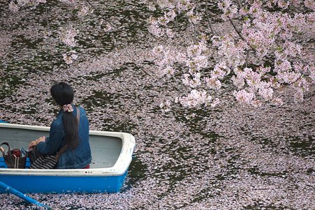 2011.04.11　皇居　北の丸公園　千鳥ヶ淵-8