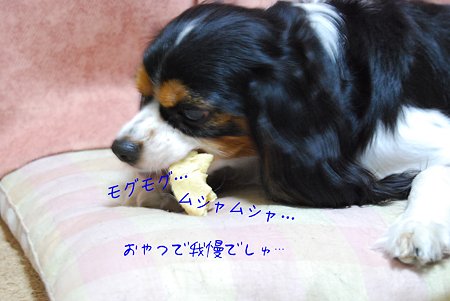 おやつで我慢