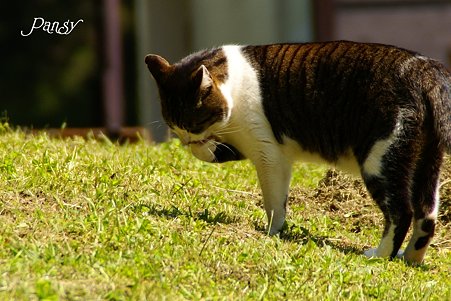 ちょっと爪が気になるわ・・