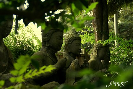 鴫立庵・・2