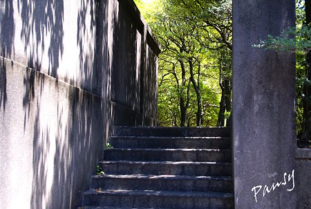 木漏れ日の階段・・