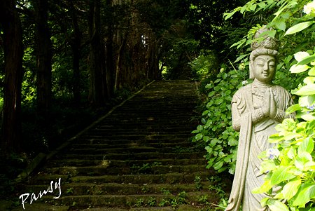 ふたつめの石段・・長興山紹太寺史跡さんぽ~22