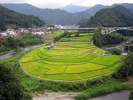 あらぎ島 2005年09月