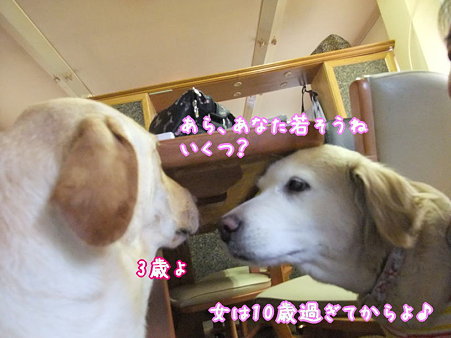 女の会話