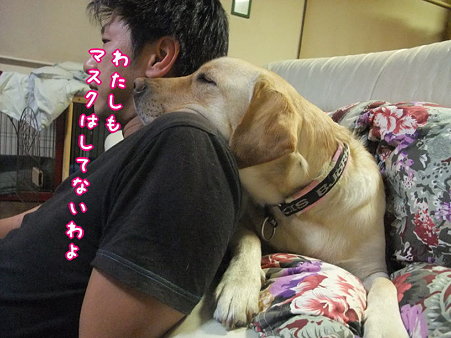 わたしもしてないわ