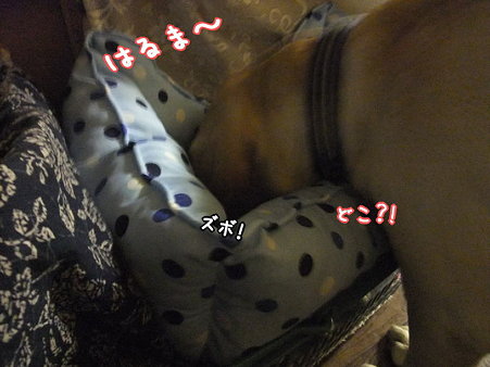 隣やって・・・