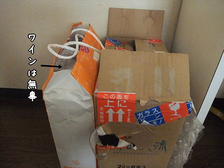 もしやと思い…