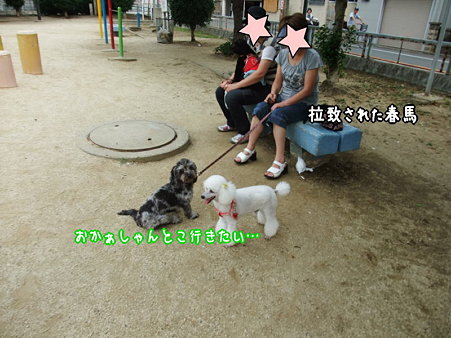 うごけない