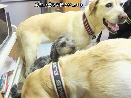 春馬、挟まれる