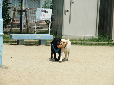 少しだけ