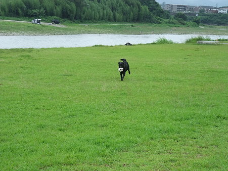待ってーーー
