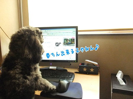 出来た!