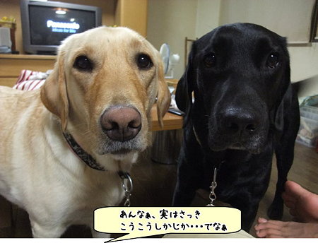 ねぇ聞いて