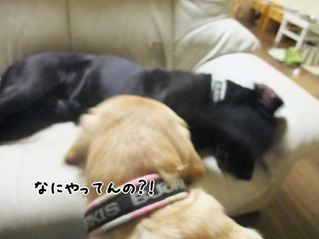 なにやってんの