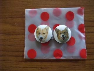 2009_0627頂き物0012