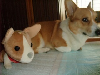 2009_10140015