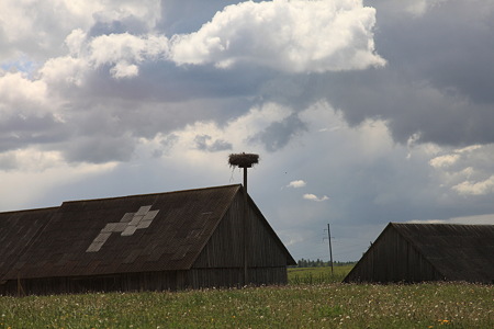 DPP_1088