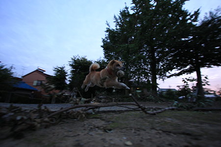 IMG_6615