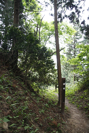 与板城 - 12