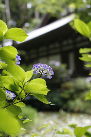 岩船寺 - 11