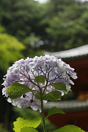 岩船寺 - 12
