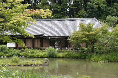 浄瑠璃寺 - 06