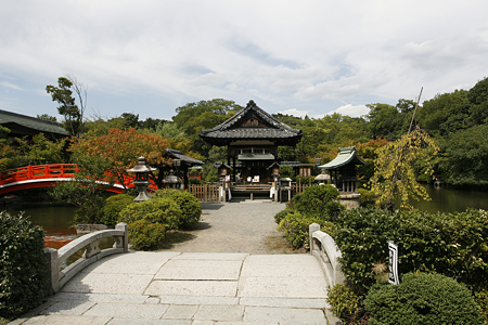 神泉苑 - 4
