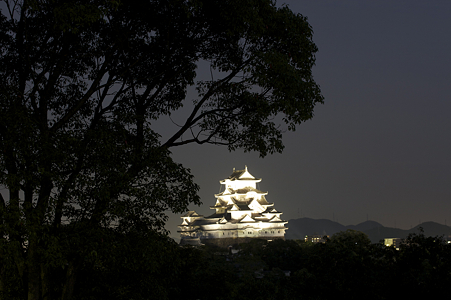 姫路城の夜景・男山配水池公園から - 02