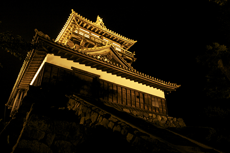 丸岡城ライトアップ -06
