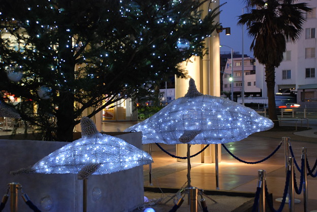 Photos: DSC_0106
