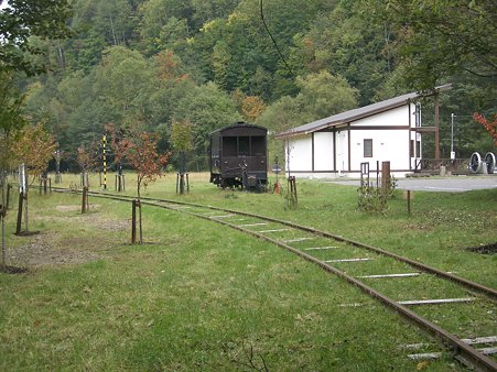 IMGP5536