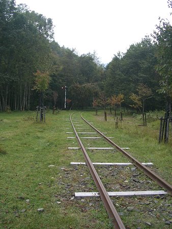 IMGP5532