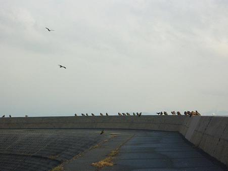 P1020109