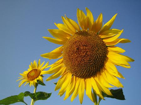 IMG_3421